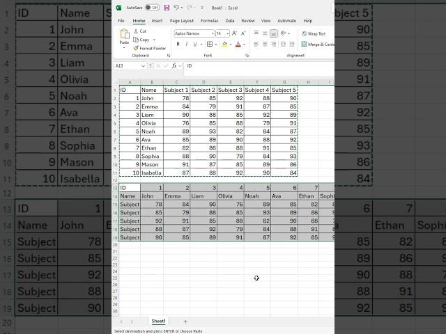 How to Transpose a Data Table in Excel | Easy Step-by-Step Guide