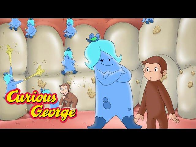 George Learns to Brush His Teeth 🪥 Curious George  Kids Cartoon  Kids Movies