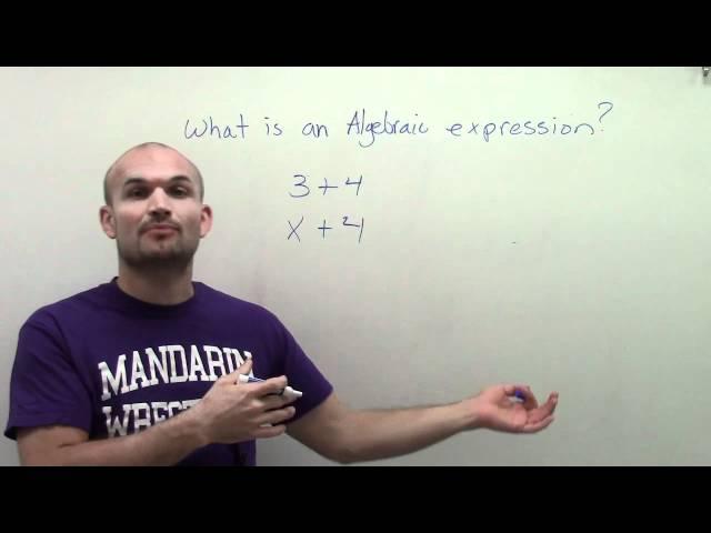 What is an algebraic expression