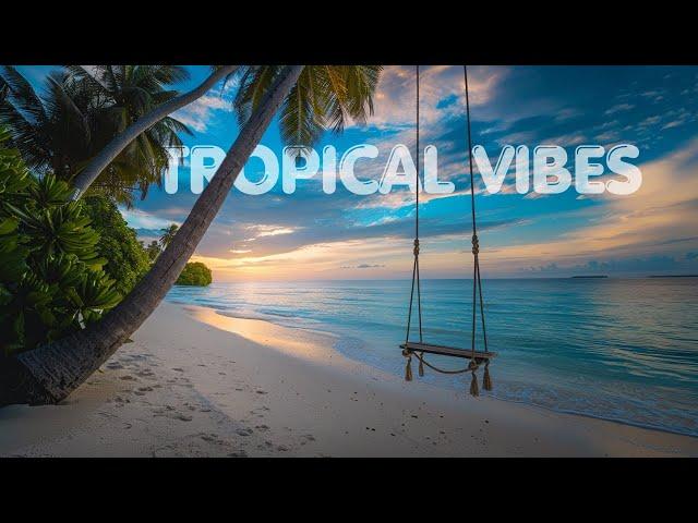 Tropical Caribbean Beach Music Travel Video with Beautiful Views of Beach Travel Destinations