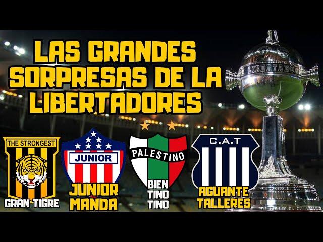 LAS GRANDES REVELACIONES DE LA COPA LIBERTADORES 2024 