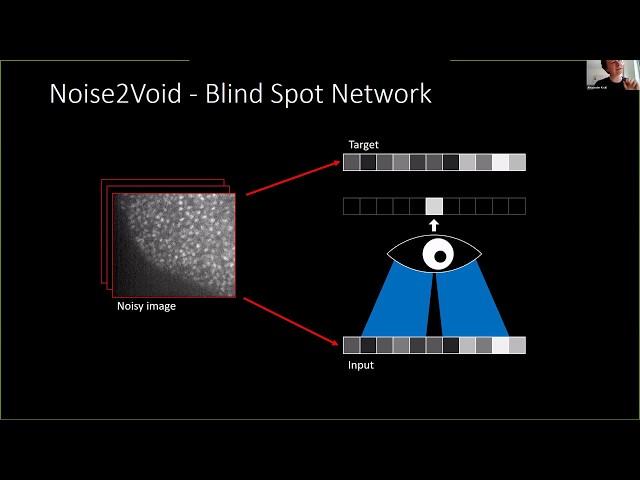 A beginner guide to content aware image restoration [NEUBIAS Academy@Home webinar]