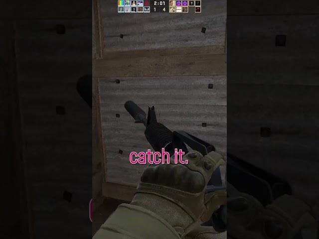 Who Let Kids Play CS:GO?! #csgo #troll #shorts