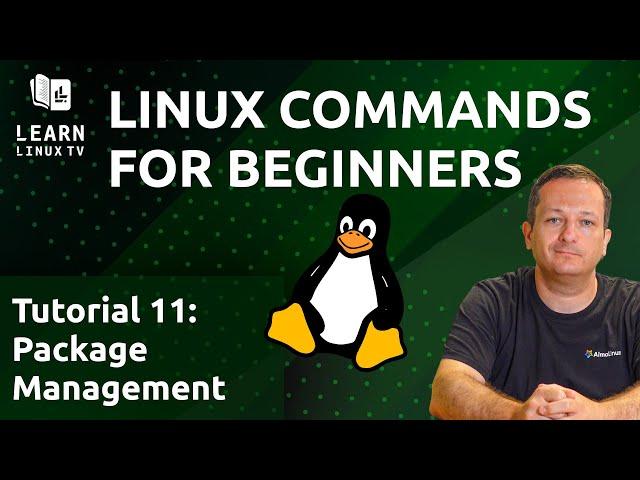 Linux Commands for Beginners 11 - Intro to Package Management on Debian-based Distributions