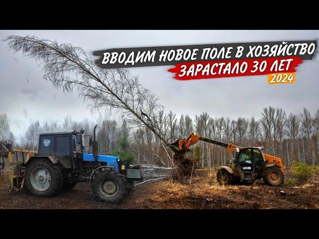 JCB "затмил" John Deere дёргая деревья на КОРЧЕВАНИИ. Поломка волокуш на МТЗ-1221.