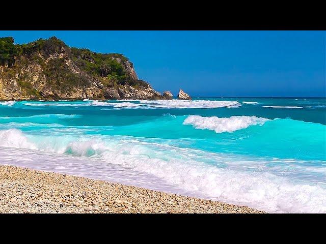 Sea Beach Nature Video | Beach Videos, Download The Best Free 4k Stock