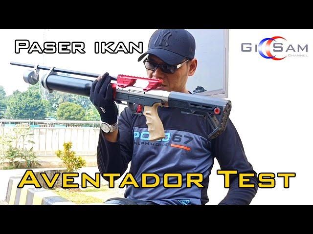 TEST !!  Paser ikan paser sultan Aventador