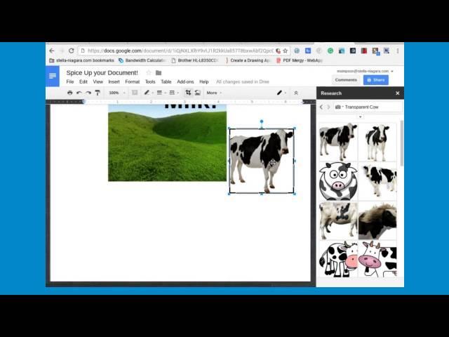 Google Docs - Adding Transparent Photos