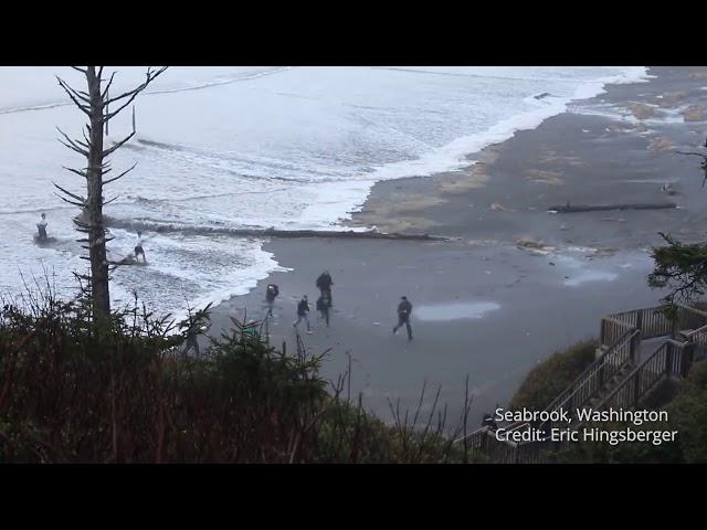 Sneaker Waves: Respect the Power of the Ocean!