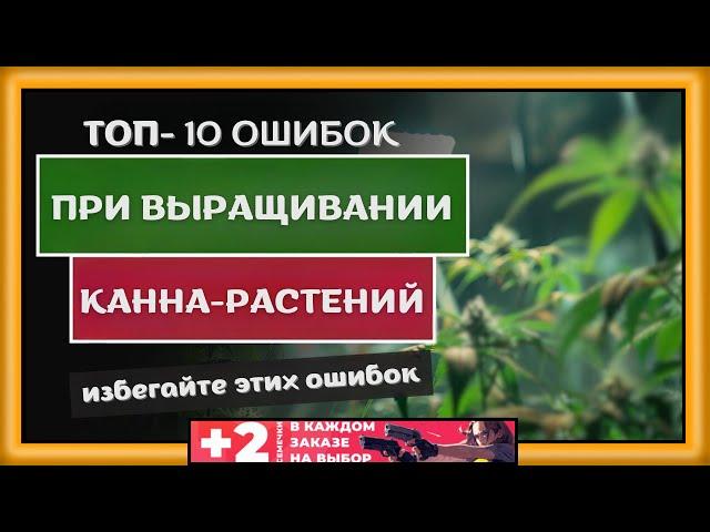 Топ-10 ошибок при выращивании растений!Избегайте этих ошибок при выращивании Каннабиса.