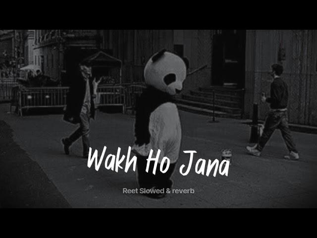 Wakh Ho Jana(slowed+reverb) | Reet