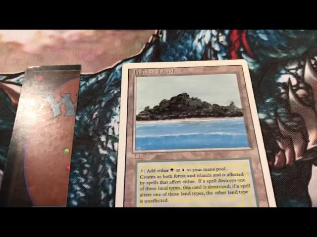 MTG Revised Tropical Island - Zoomed in