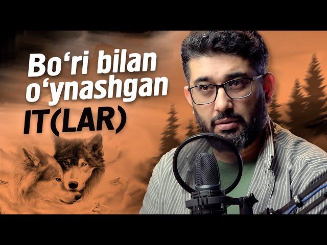 Bo'ri bilan o'ynashgan IT(LAR) | @XizrAbdulkarim #abdukarimmirzayev