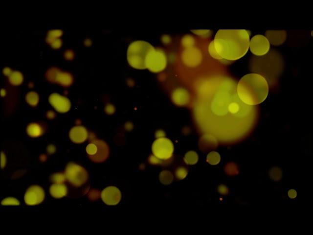 Bokeh Effect Motion Background 4K - Free HD Stock Footage - Free Download