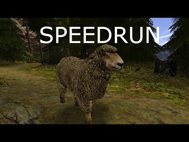 killing a sheep SPEEDRUN