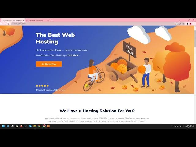 How to Order Domain & Hosting | Intelwebhost