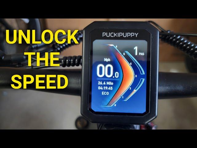 Unlock the Top Speed and Explore the Settings on the Puckipuppy Labrador Ebike