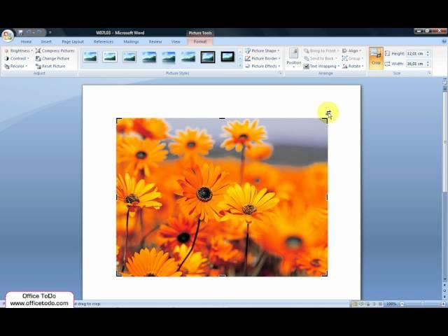 How to crop a picture? | Word 2007