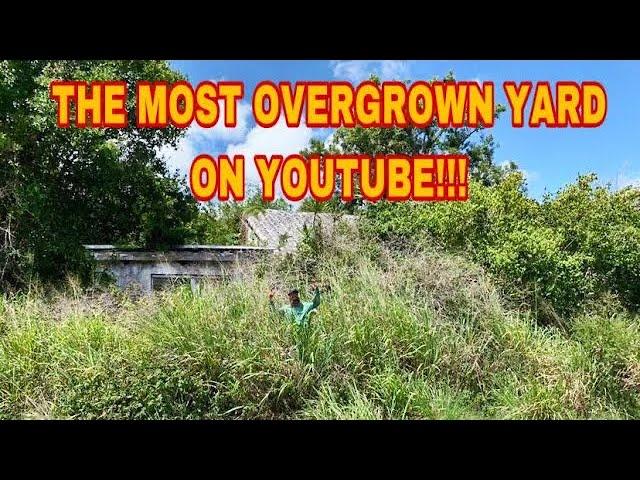Cutting the WORST yard on YouTube! [Abandon house makeover for FREE]