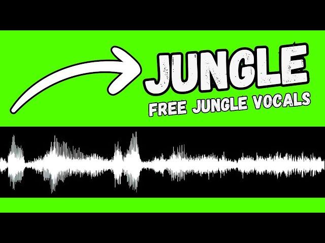 FREE jungle Vocal Samples || BY BLU MAR TEN || PROVIDED BY SOUNDPACKS