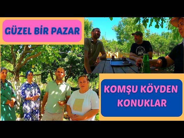 KOMŞU KÖYDEN GÜZEL KONUKLAR ... SİNEK KAPANI...