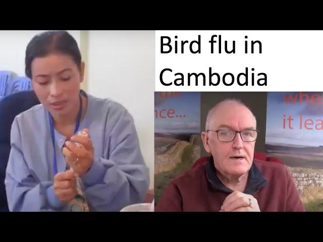 Bird flu in Cambodia