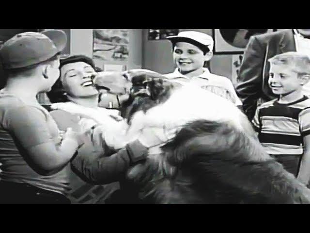 Lassie | The Teacher | Lassie English Full Episodes  