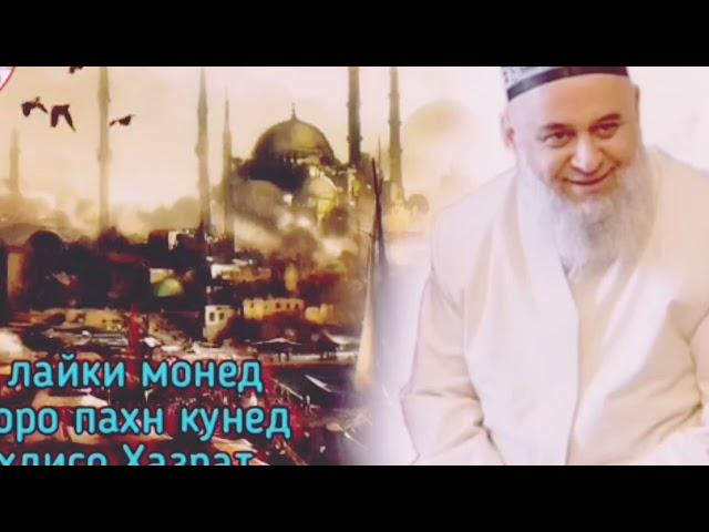 ХОЧИ МИРЗО 3 СОАТ САВОЛУ ЧАВОБ #обуна_шавед