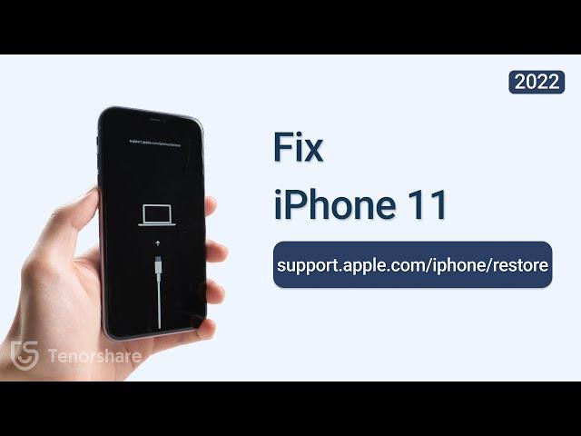 How to Fix support.apple.com/iphone/restore on iPhone 11 - 2024 (iOS 17)
