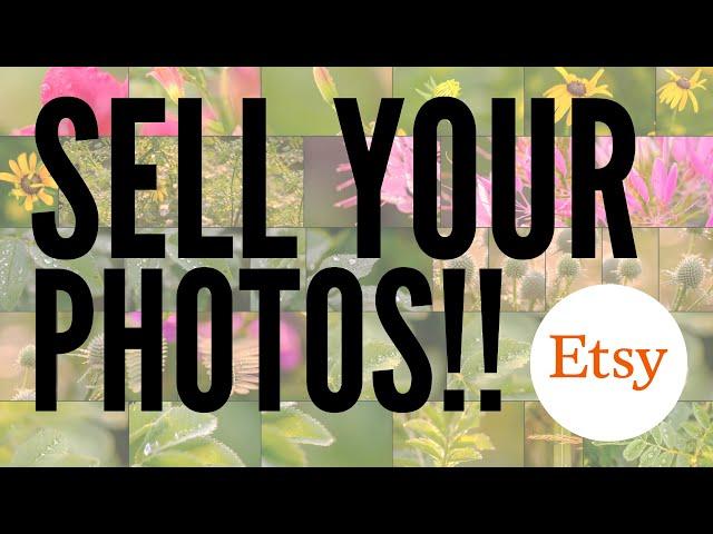 $10,000 Sales On Etsy: Four Tips I've Learned Selling Photos Online
