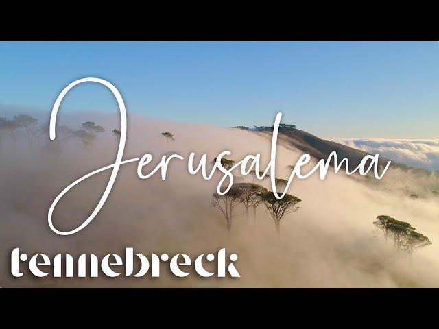 Tennebreck feat. @D.E.P. - Jerusalema | Cover