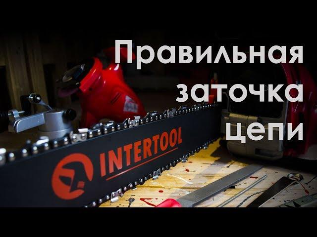 Станок для заточки цепей INTERTOOL DT-0850 - правильная заточка цепи!