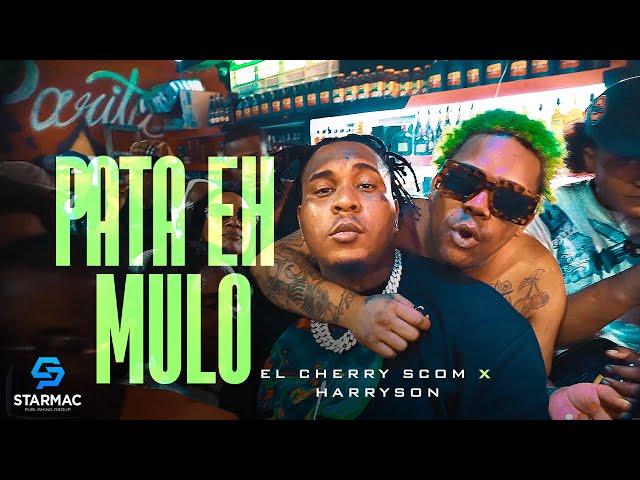 El Cherry Scom x Harryson -  Pata Eh Mulo (Video Oficial)