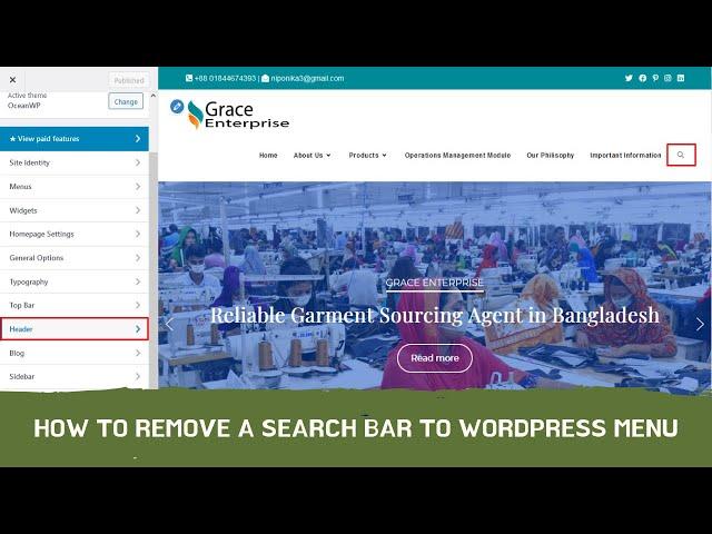 How To Remove a Search Icon, Bar in Header Menu WordPress | OceanWP WordPress, Elementor Tutorial 