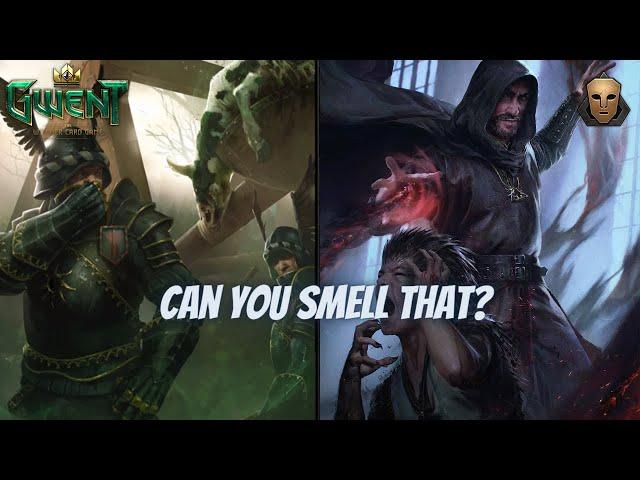 GWENT | Do You Smell What the Nilfgaard Soldier Is Cooking? Rot Tosser Meme 11.5