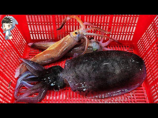 Assorted Seafood Sashimi Songdo Fish Market Pohang Korea 포항 송도 활어회센터 해물모듬회 10 etc