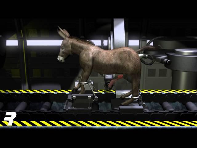 RNG DonkeyFactoryTF3D 720p