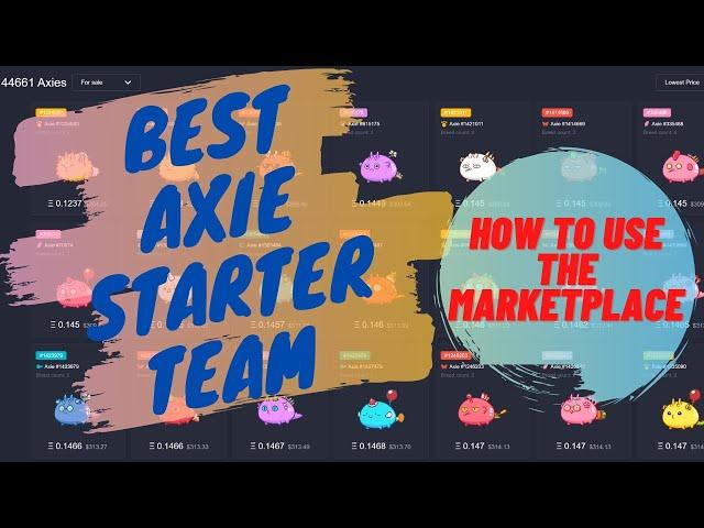 Axie Infinity Best Starter Team / How to use the Axie Marketplace: Recommended Axies for beginners