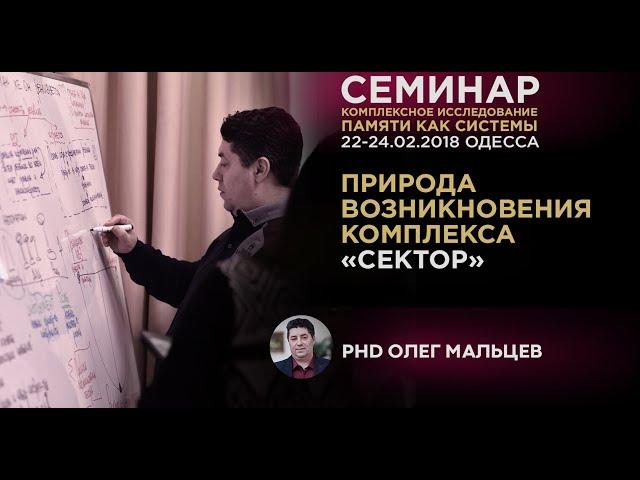 Природа возникновения комплекса СЕКТОР | 3 ключевых навыка