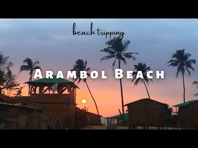 Moment at Arambol Beach | Raw Xploration