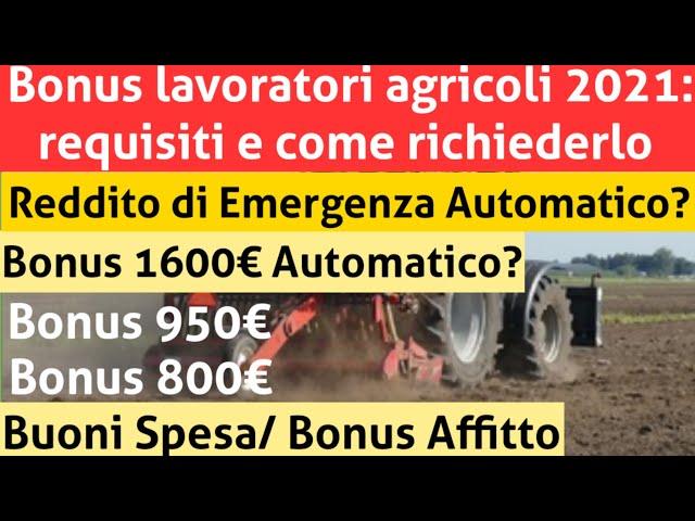 Bonus lavoratori agricoli requisiti e come richiederlo | Buoni Spesa | REM Bonus 2400 Automatico?