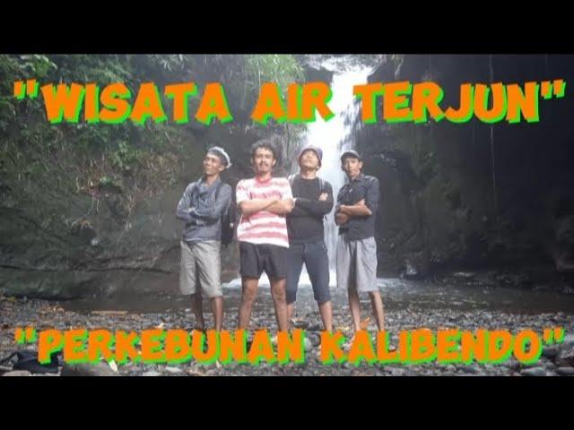 Explore Wisata Air Terjun Perkebunan Kalibendo banyuwangi.