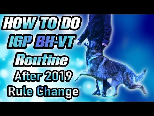 THE NEW schutzhund IPO IGP BH BH-VT Exam Routine 2019 After Rule Change