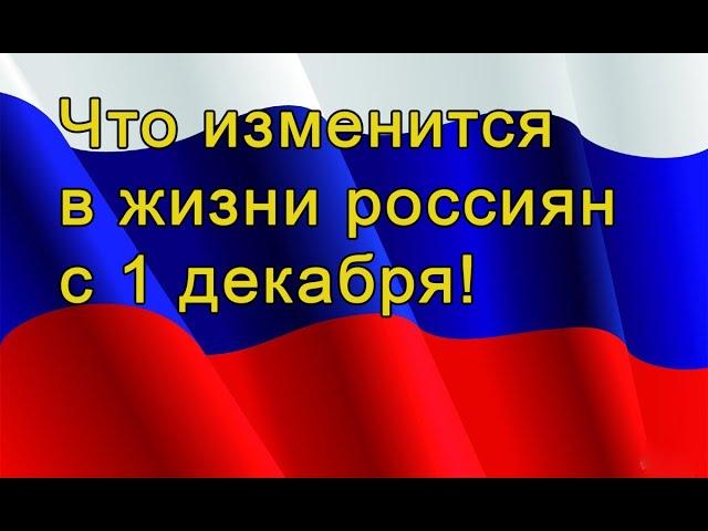 Что изменится в жизни россиян с 1 декабря!