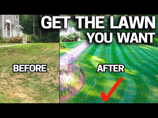 How to FIX an UGLY Lawn with RESULTS - Step by Step for Beginners EASY