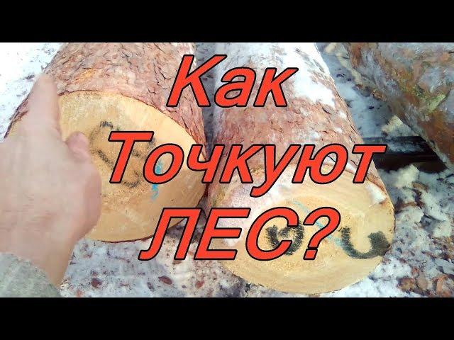 Как точковать лес - бревна? Как записать и посчитать кубатуру бревен круглого леса точками?