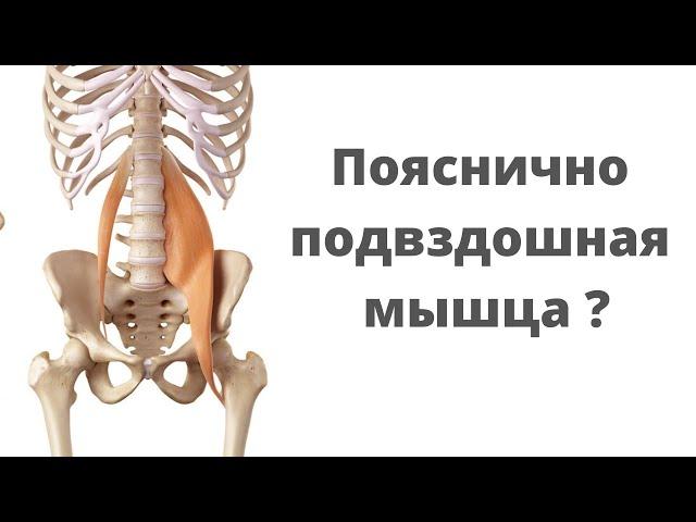 Расслабление пояснично-подвздошной мышцы. Малиновская