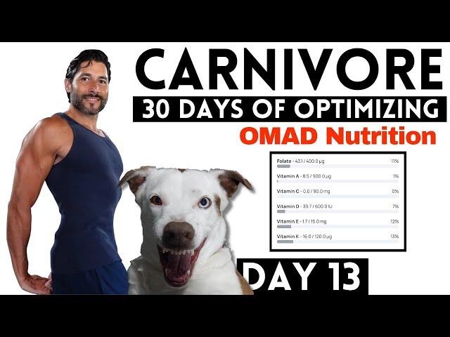 30 Days To The Most Optimized Carnivore Diet EVER - DAY 13