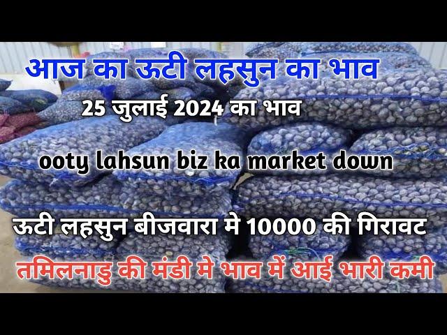 आज के ऊटी लहसुन बीजवारा के भाव || भाव मे आई भारी गिरावट || ooty lahsun biz market down ||