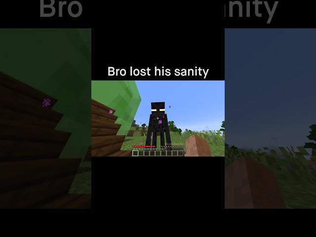 Minecraft Meme